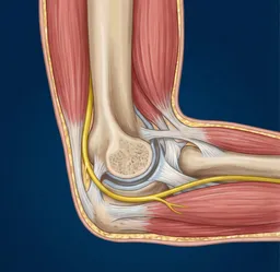Elbow